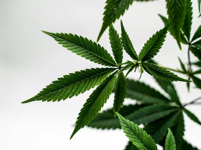 Jouw HHC-vape is nu officieel een harddrug